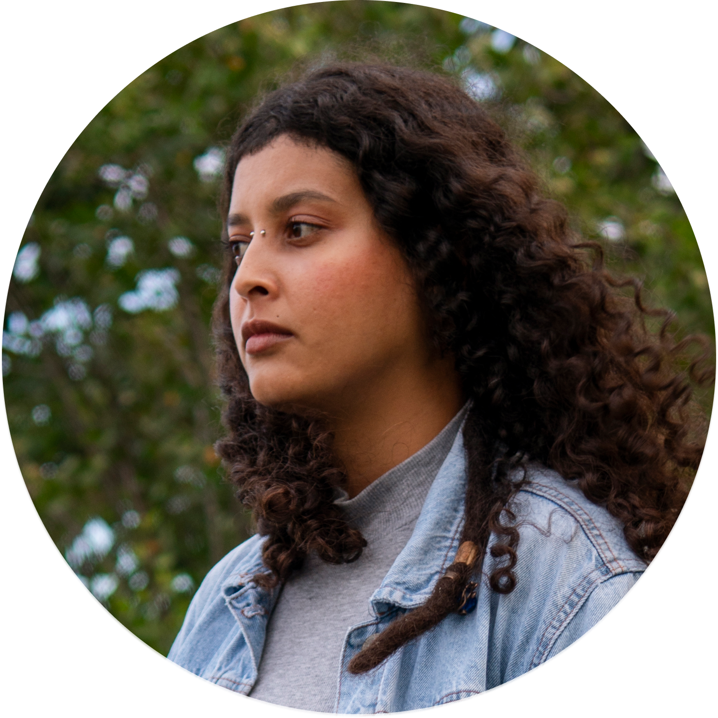 Bookkeeper analyzing income statements and balance sheets