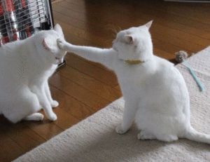 conflict resolution remote team